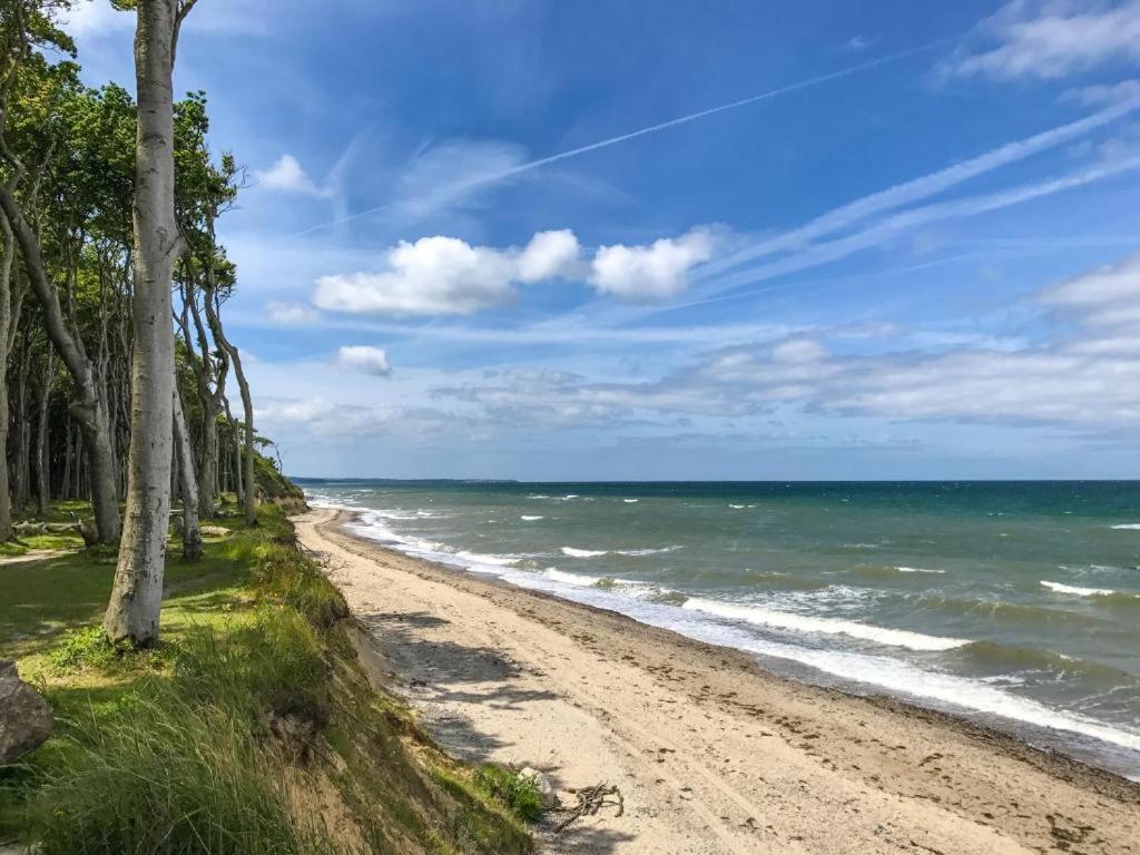 אוסטזיבאד נינהאגן Ostseeferienpark Seepferdchen Direkt An Der Ostsee - Perfekt Fuer Familien מראה חיצוני תמונה