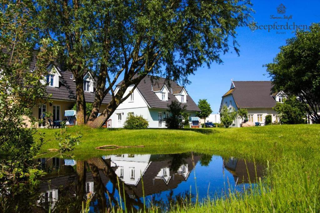 אוסטזיבאד נינהאגן Ostseeferienpark Seepferdchen Direkt An Der Ostsee - Perfekt Fuer Familien מראה חיצוני תמונה